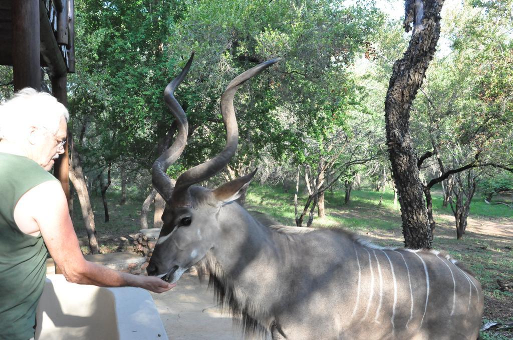 Treetops Marloth Park Εξωτερικό φωτογραφία