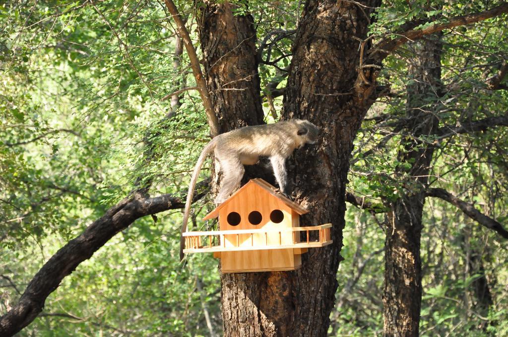Treetops Marloth Park Εξωτερικό φωτογραφία