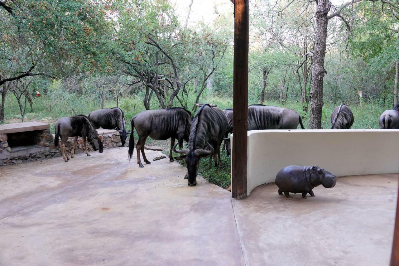 Treetops Marloth Park Εξωτερικό φωτογραφία